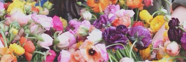 worshipclexa's profile banner image