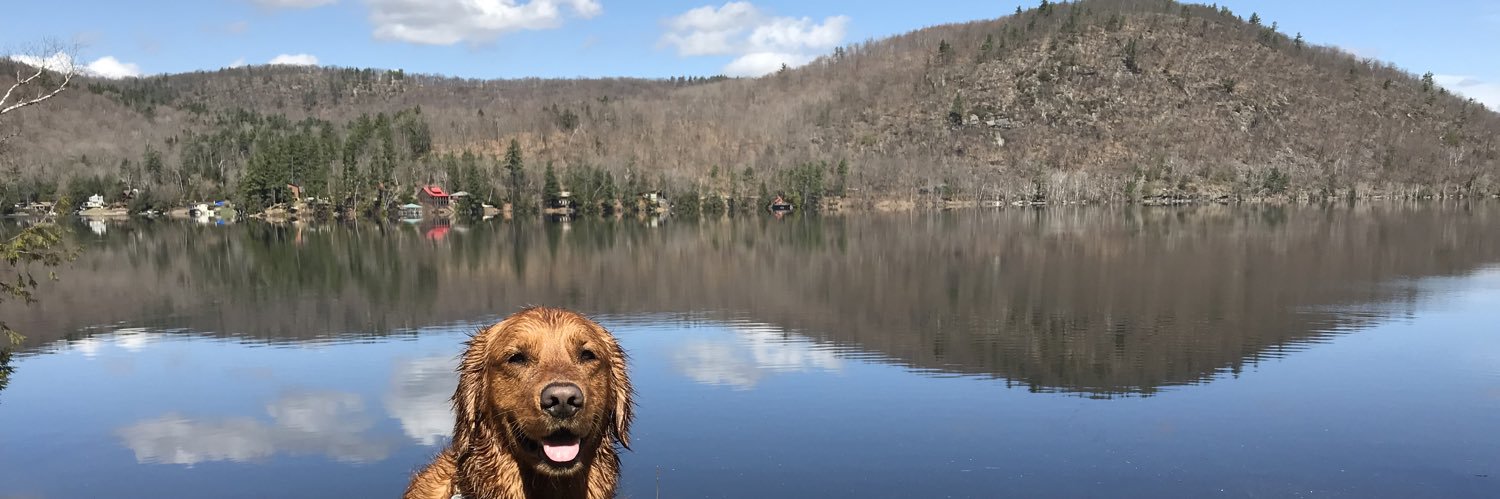 brboutelle's profile banner image