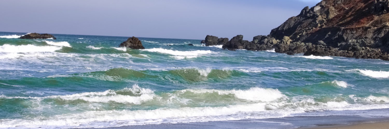 Callie banner