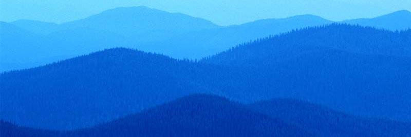 Suzi Lilith Monroe banner