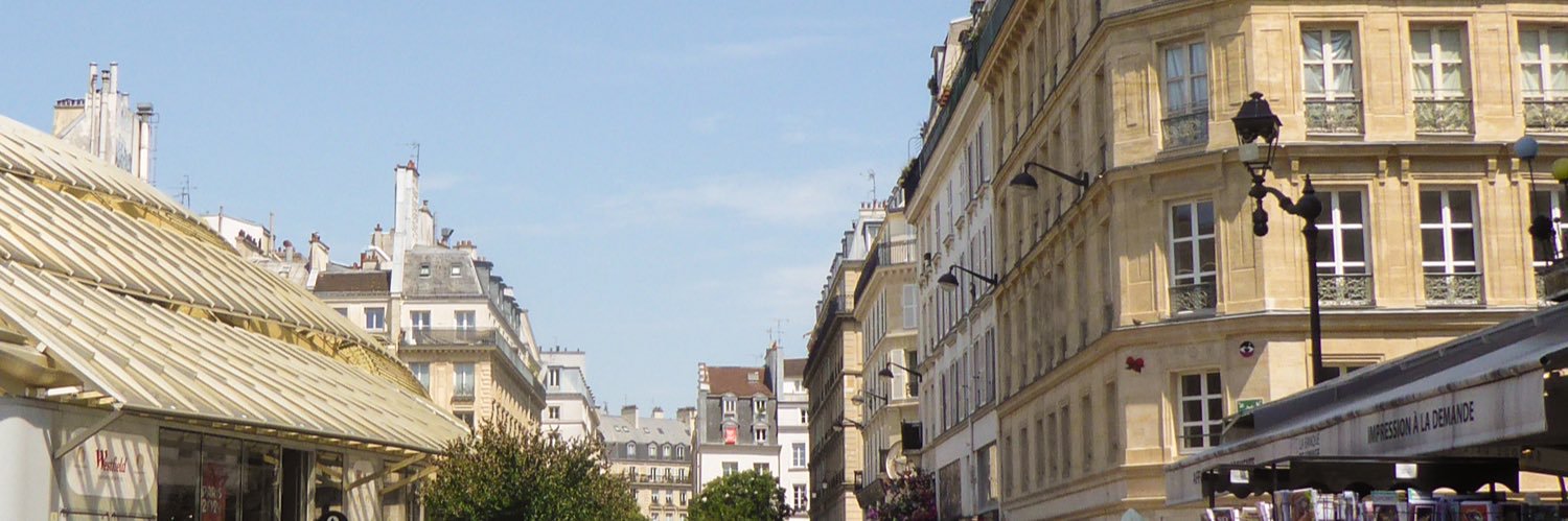 emilyrosecg's profile banner image