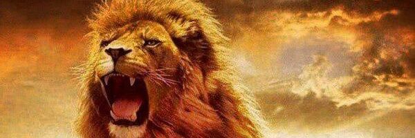 atilla_yb's profile banner image