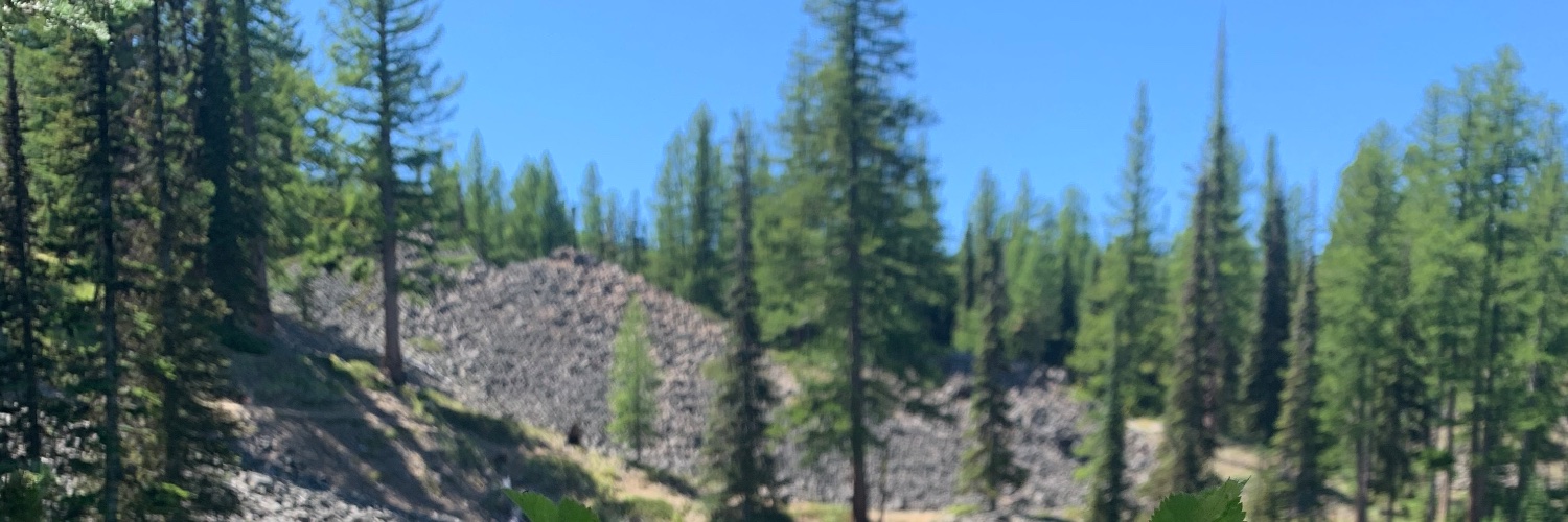 minnieee_17's profile banner image