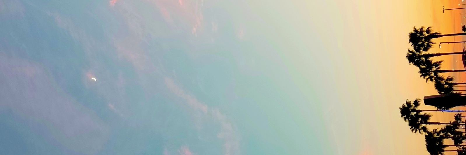 Consuelo_314's profile banner image