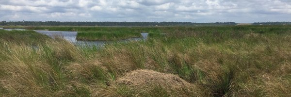 fostinez Profile Banner