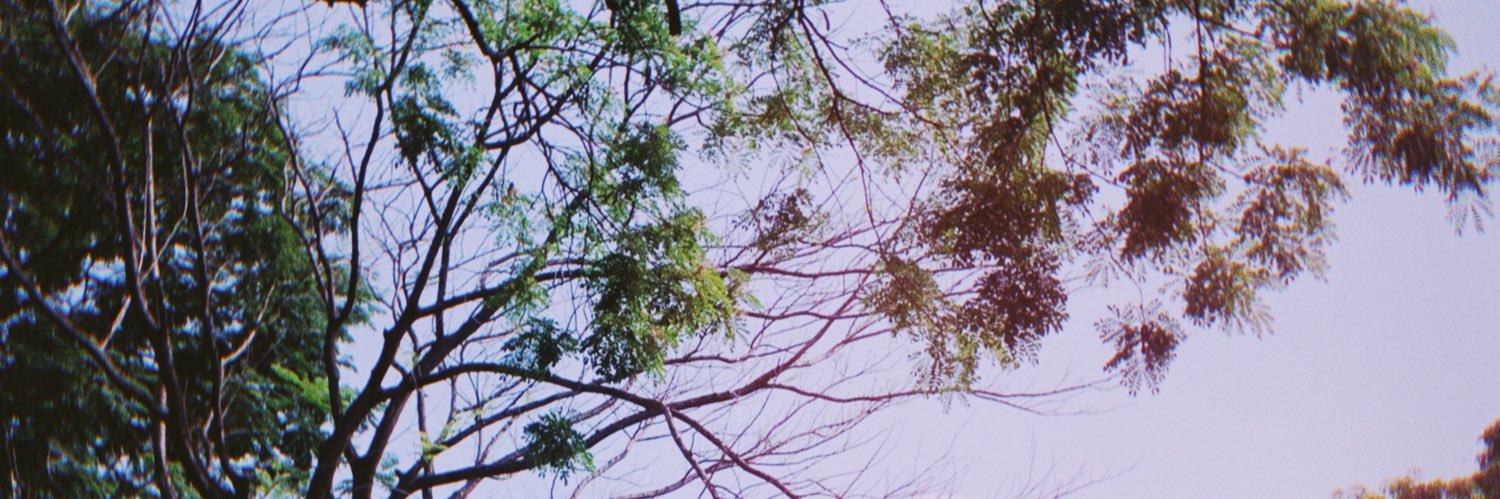 zwpamji's profile banner image