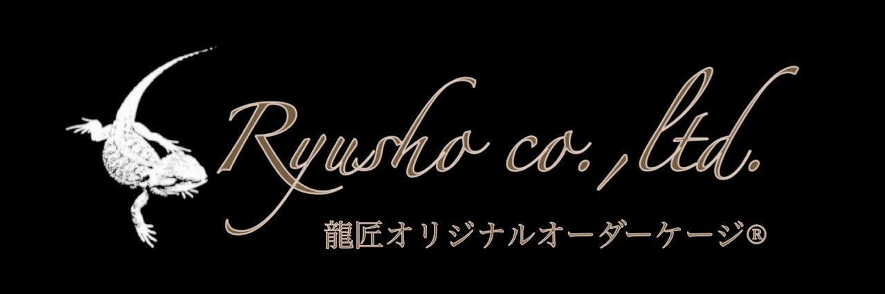 ryuushyou164's profile banner image