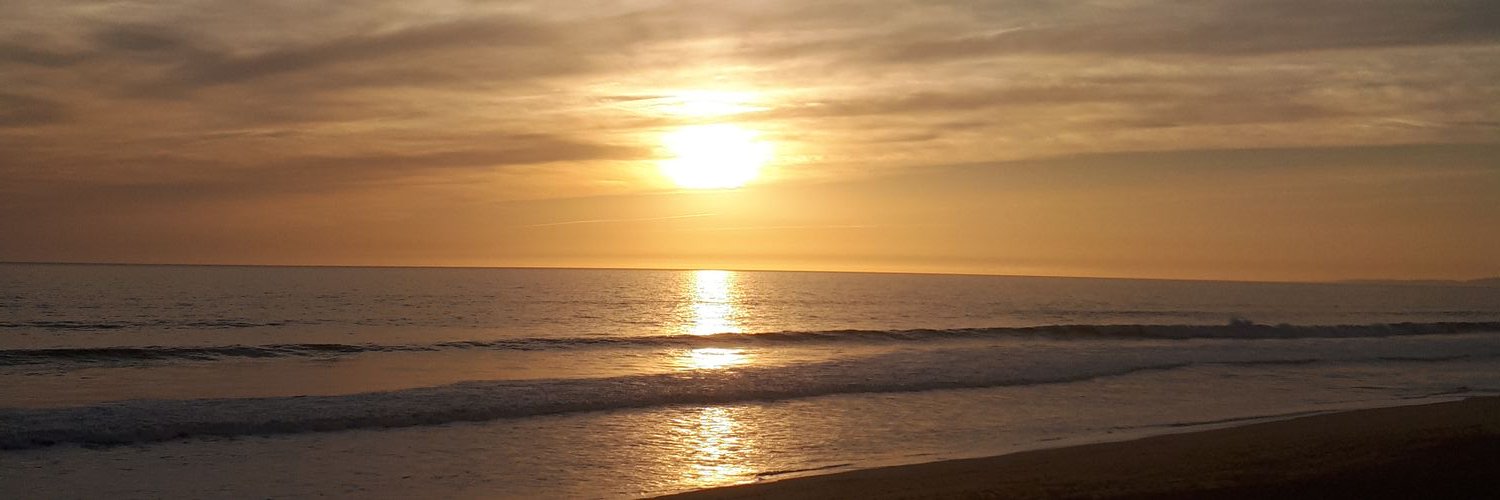 therealloopyh's profile banner image