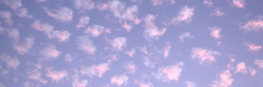 FridaNipol's profile banner image