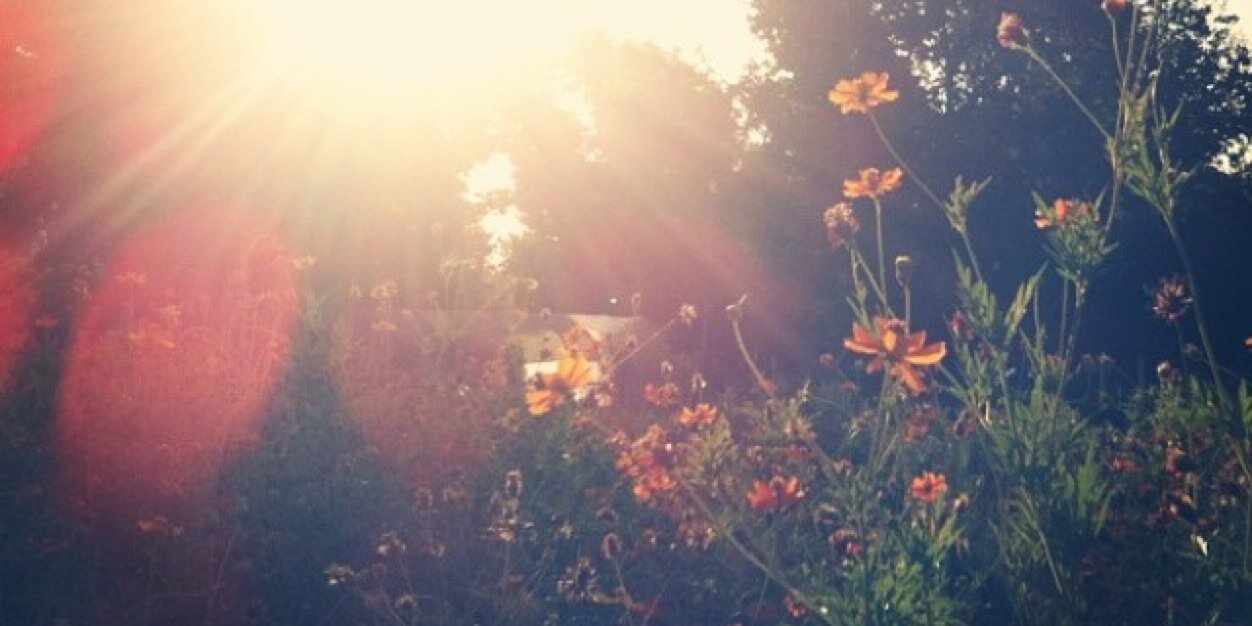 Kate Simpson (@Kate_J_Simpson) / Posts / X