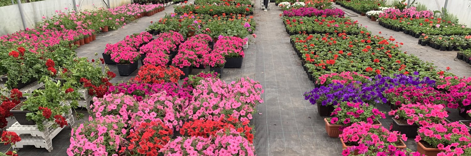 Маријана С. 🇷🇸🇸🇮 banner