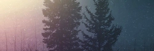 closedena's profile banner image