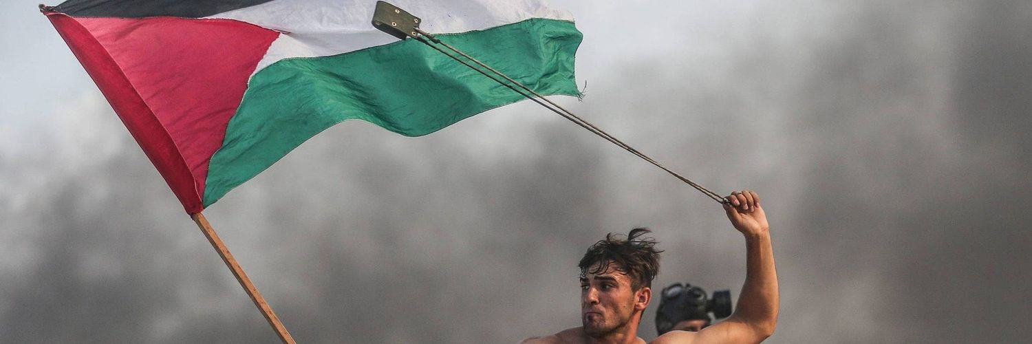 Očajna Domaćica banner