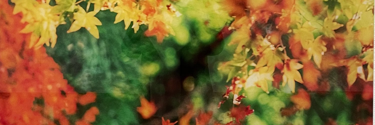 x09010N90x's profile banner image