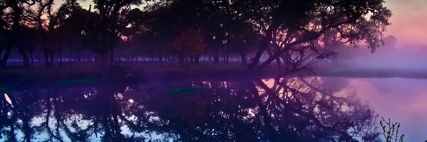 barnett5152's profile banner image