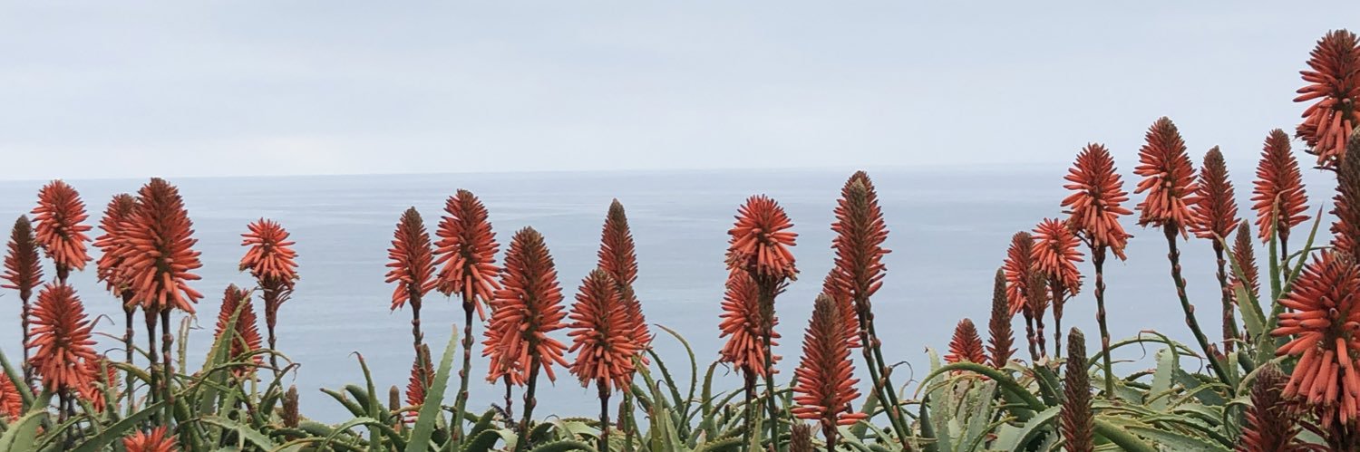 Elliot Jackson banner