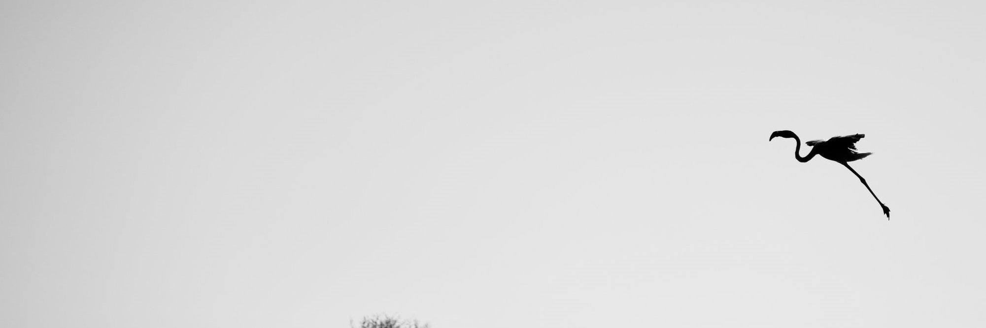 LiesSteurs's profile banner image