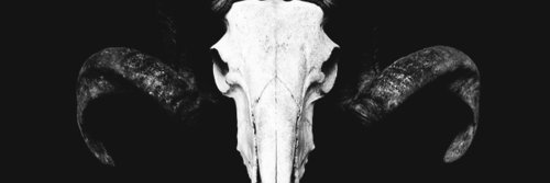 DemonicParadise's profile banner image
