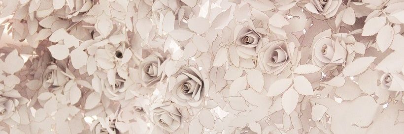 Dashmj12's profile banner image