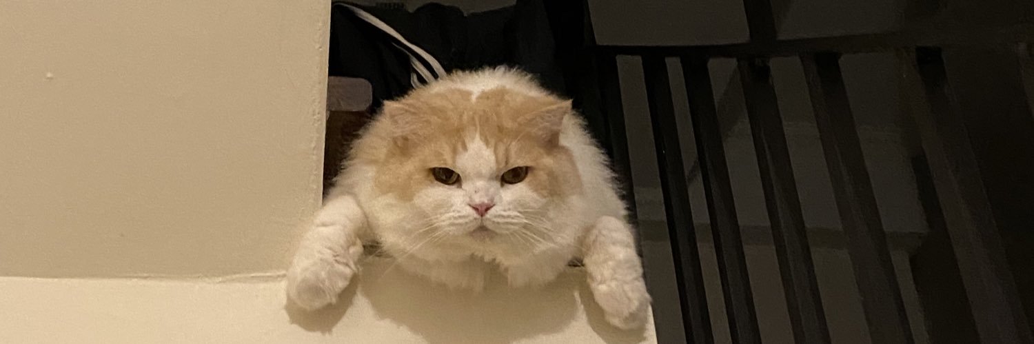 bananaskux's profile banner image