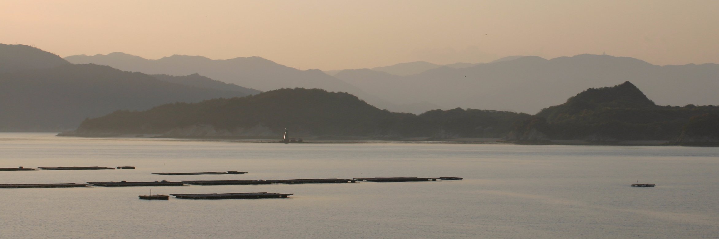 安田亜村の（主に）ゲーム実況🐼ベース弾き banner