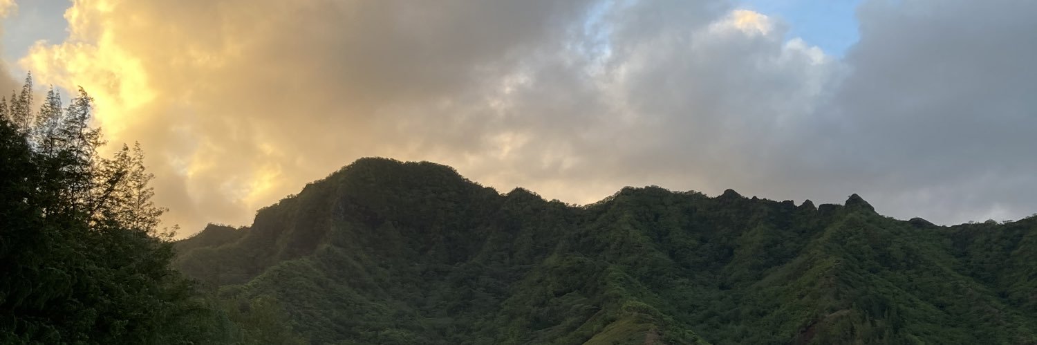MaryStuartD's profile banner image