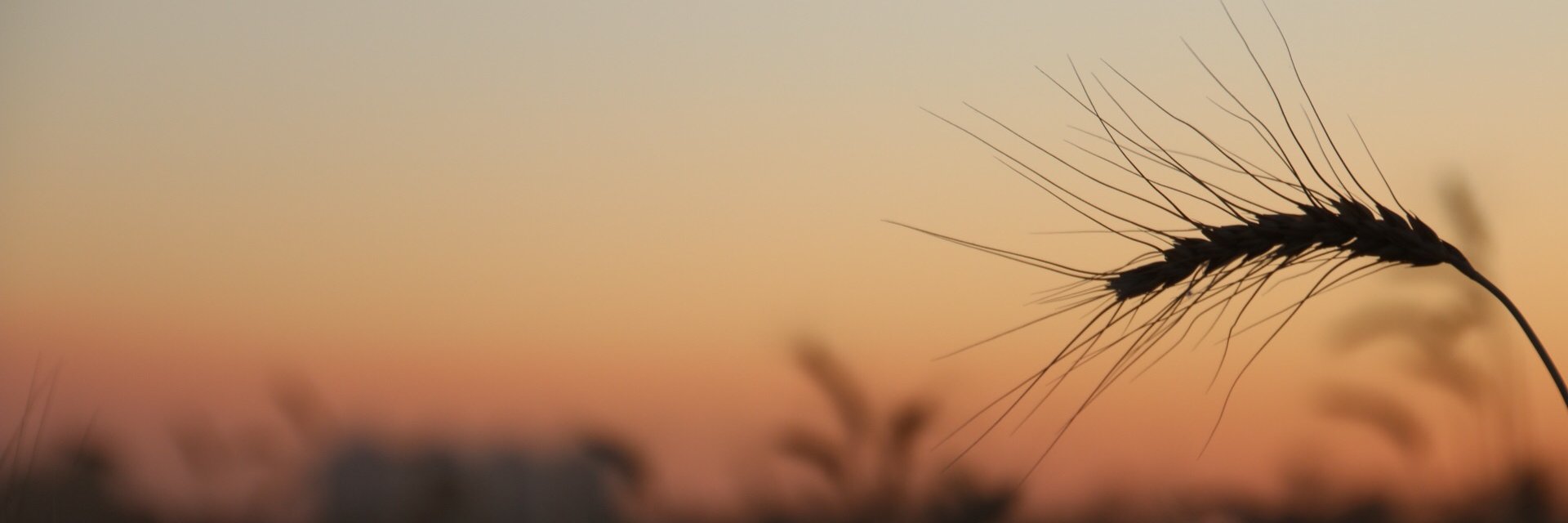 parkessamuel's profile banner image