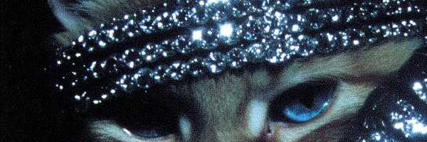 Sheisnya Profile Banner