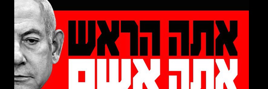 Shahar Steiff banner
