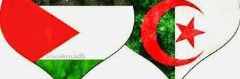 AlgerienRoi's profile banner image
