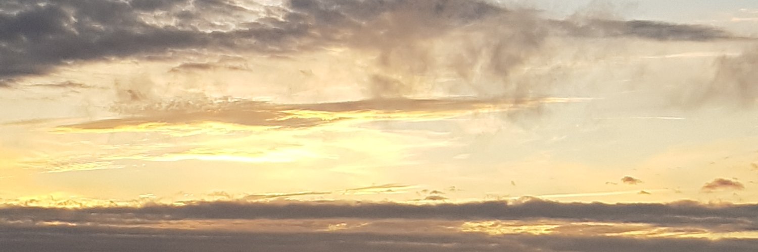 (Cisco) FDF59200 🇫🇷 🇵🇹 banner