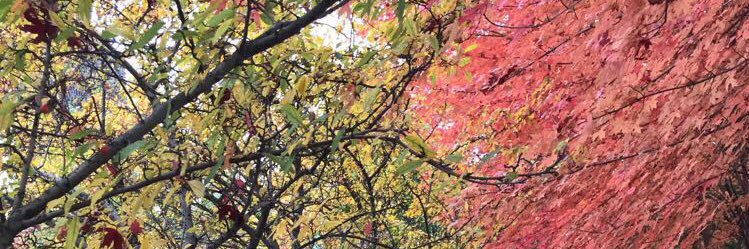 MqOs_'s profile banner image
