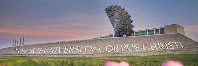 SEAStamucc's profile banner image