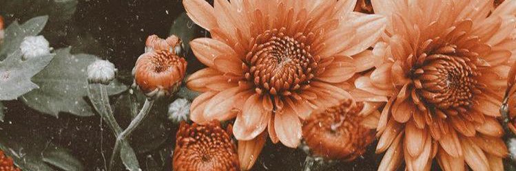 kablondti's profile banner image