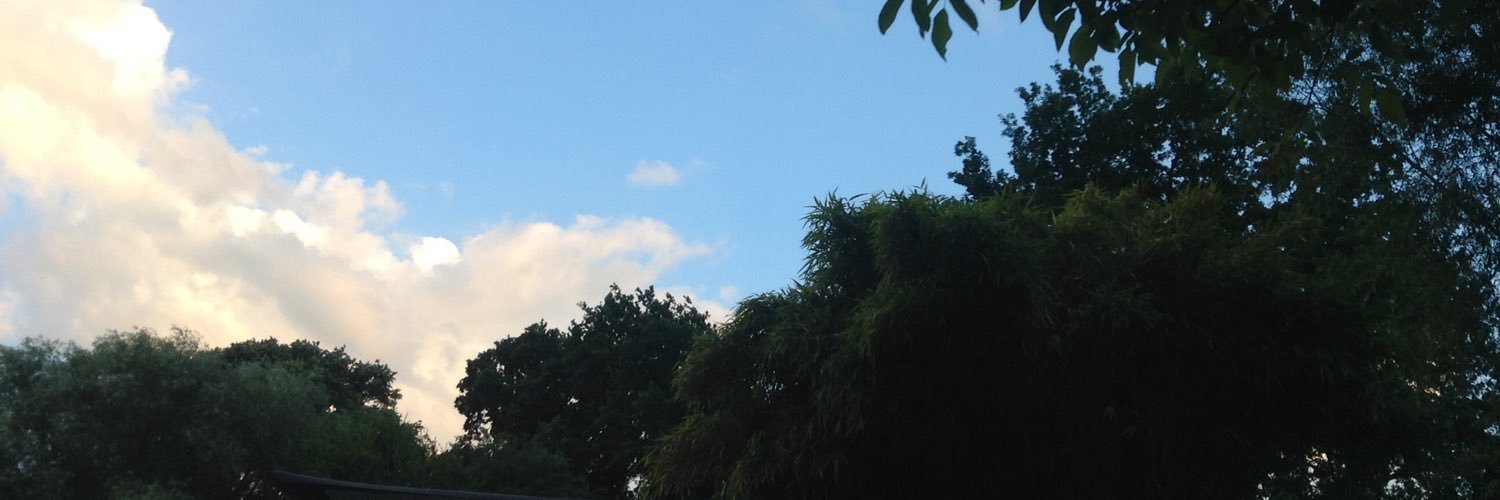InneHendricx's profile banner image