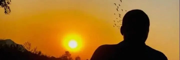 sojaboi01's profile banner image