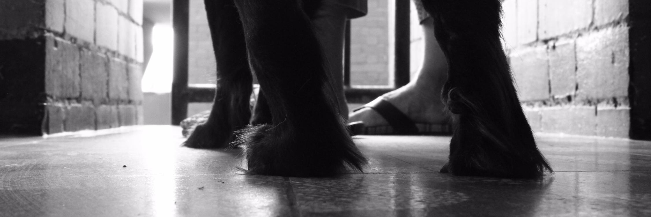 moruca27's profile banner image