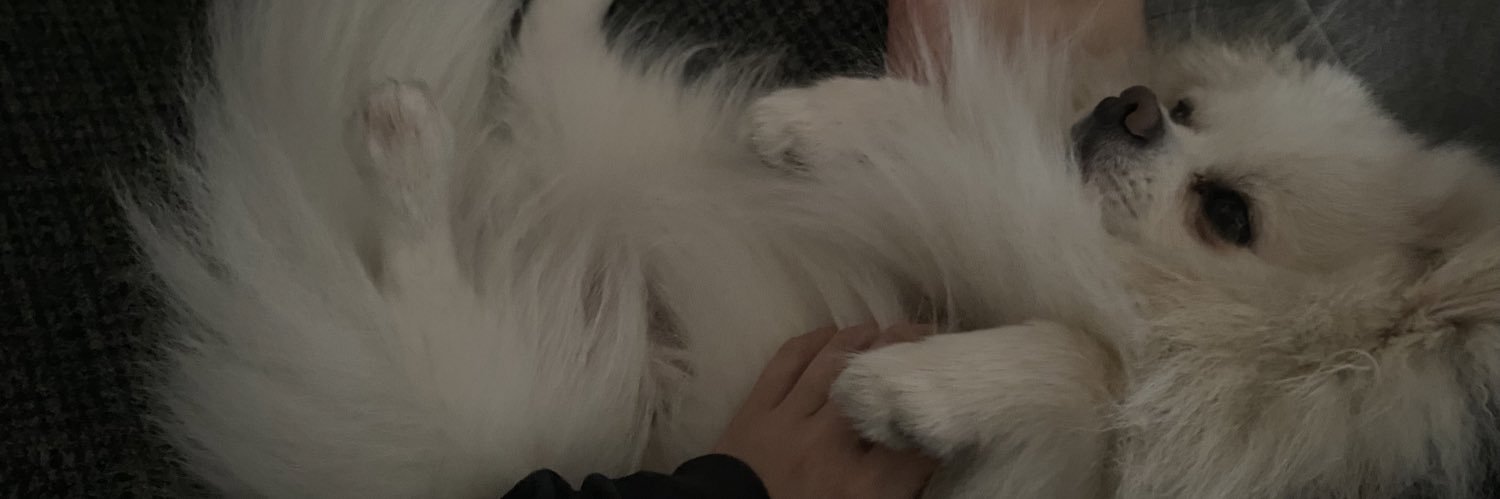 knnhm_'s profile banner image