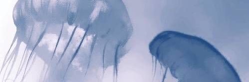 hwnlovy's profile banner image