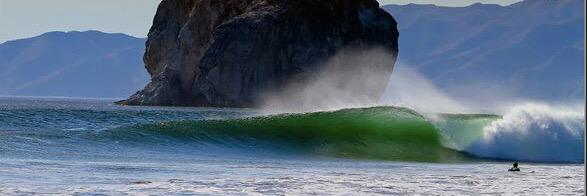 palermosurf's profile banner image