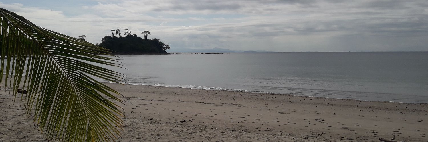 mpaula_cg's profile banner image
