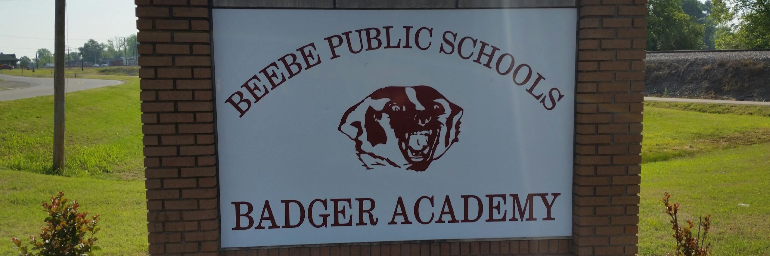 BadgerAcademy's profile banner image