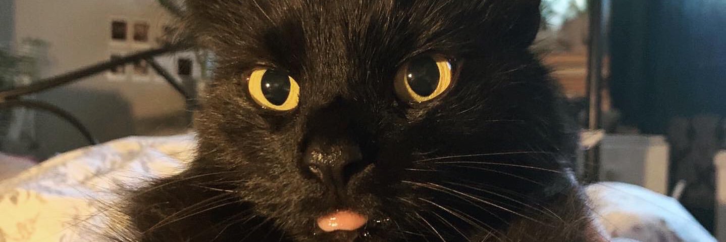 BexyTrampson's profile banner image
