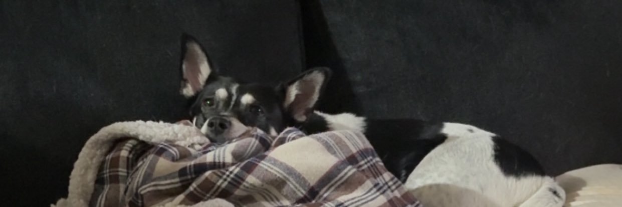 onlyforeverash's profile banner image