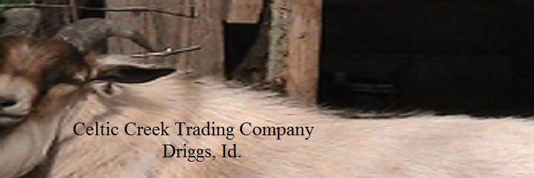 CCTC_Idaho's profile banner image