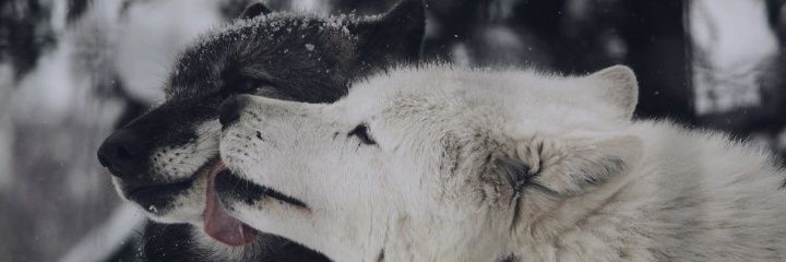 10Forner's profile banner image