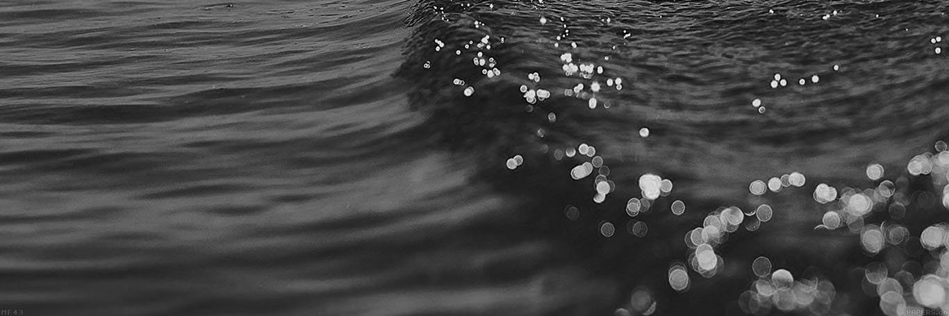 Ivonne Juárez Serna banner