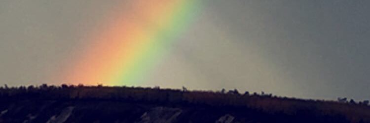 MaierJayde's profile banner image