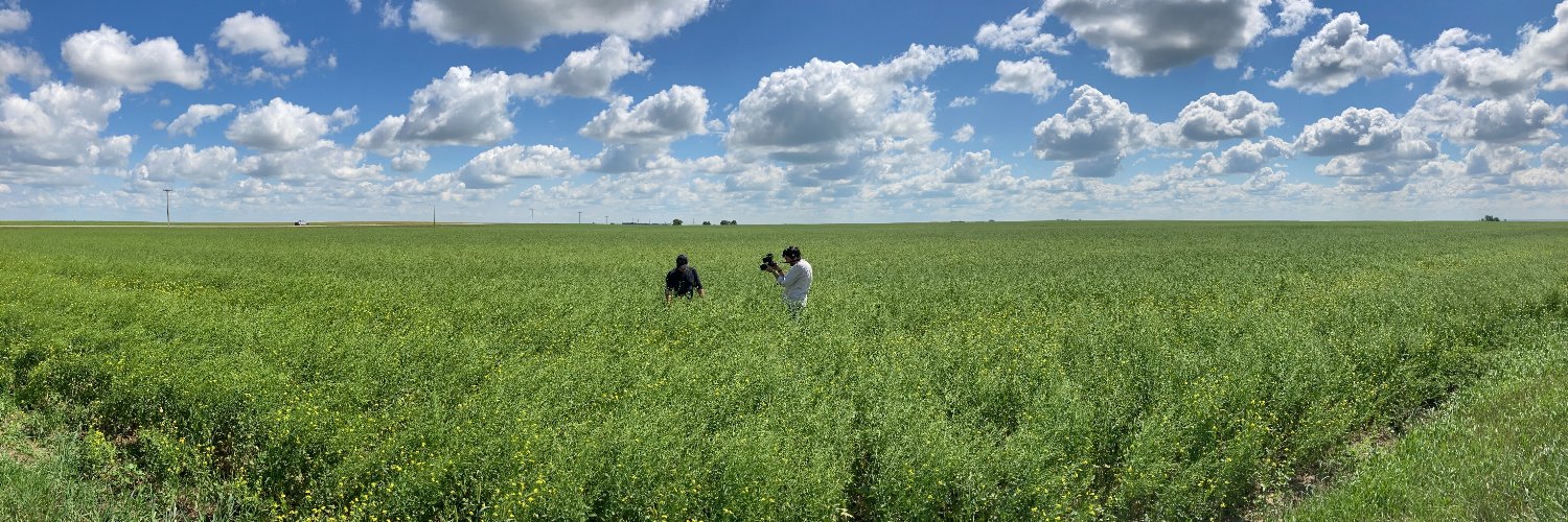 Julien Cholin banner