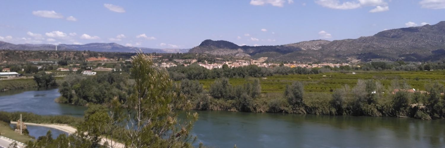 roger_xerta's profile banner image